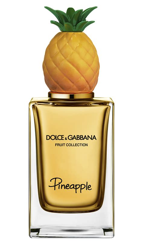 dolce gabbana parfume|dolce and gabbana unisex fragrance.